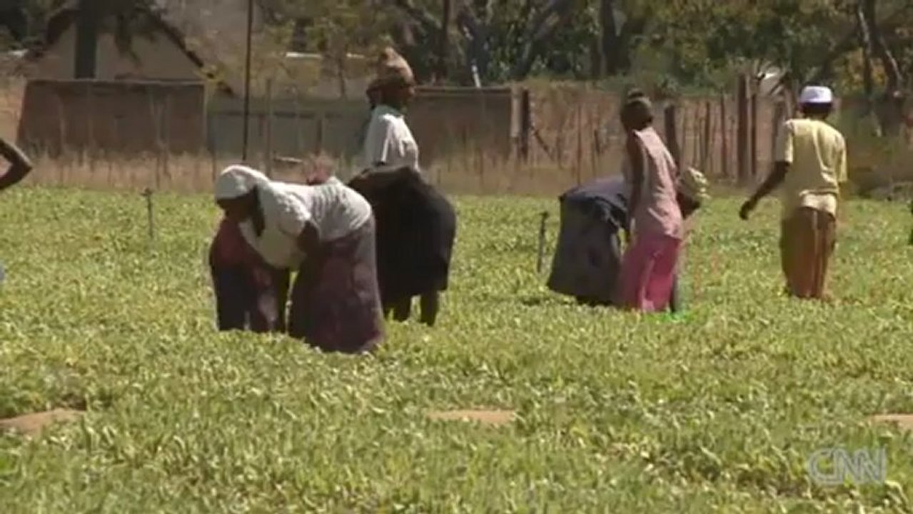 GG Agriculture (Growth Green Agriculture) - Leading Company CEO talks about agricultural investments