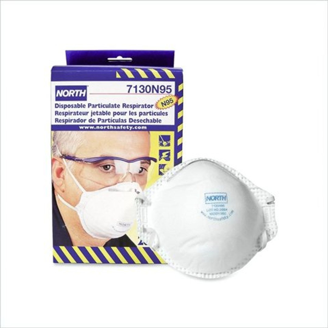 north n95 mask north n95 mask
