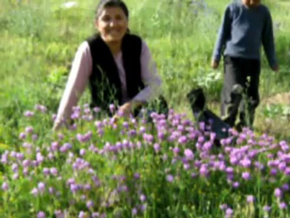 Nedim varol , Tufanbeyli , Adana. (AYVAT KÖYÜ.2013 )