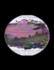 Harry Hunt's Imperial Orchestra - I Love The Dawning