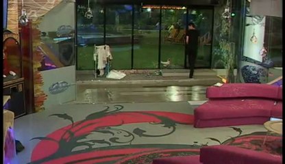 Live Feed Night 10 P8