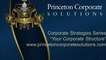 Princeton Corporate Solutions LLC