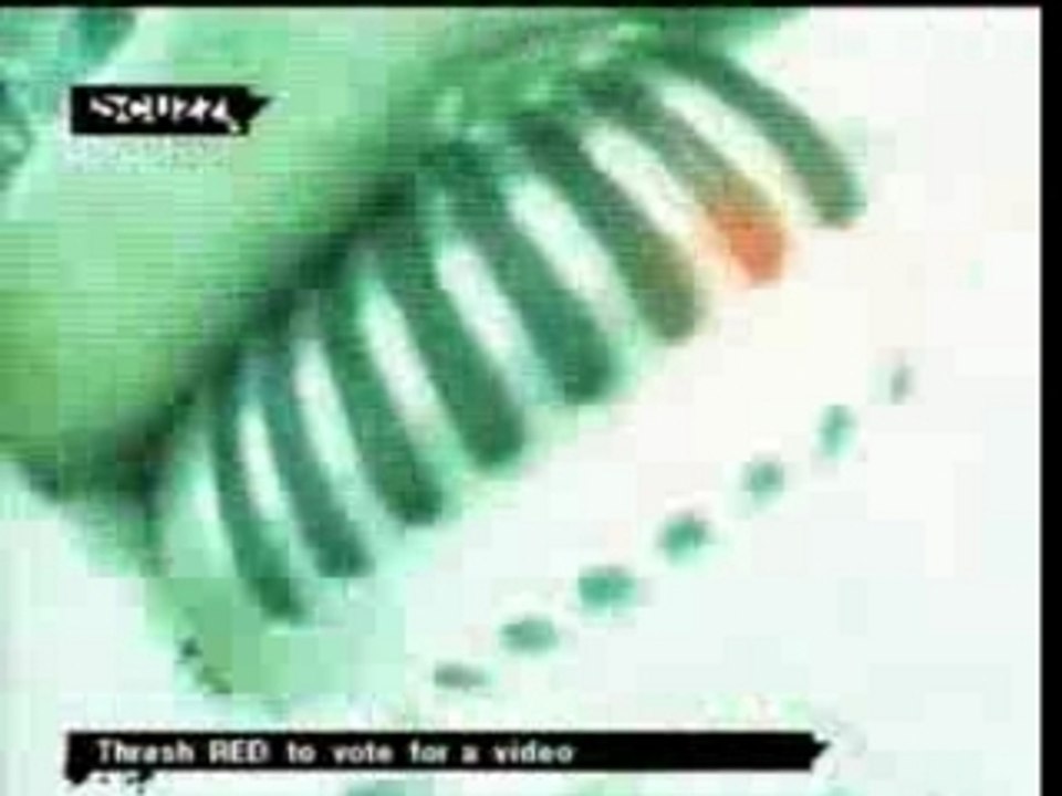 Spineshank -- Smothered