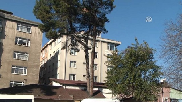 İçinden ağaç geçen bina