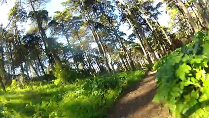 Trilho 2 2013-02-07 Monsanto