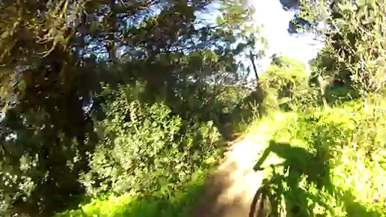 Trilho 3 2013-02-07 Monsanto