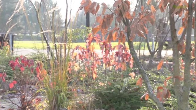 LA GUP - Trappes en Yvelines