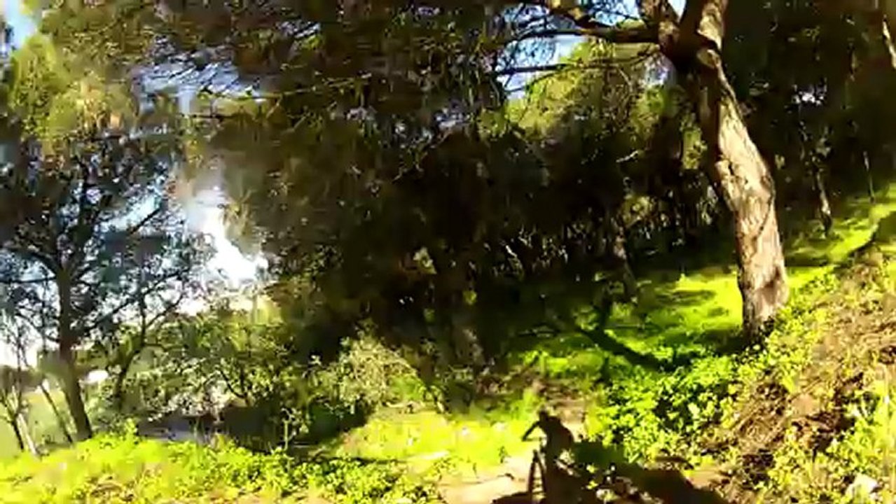 Trilho 4 2013-02-07 Monsanto