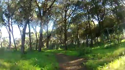 Trilho 6 2013-02-07 Monsanto