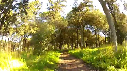 Trilho 7 2013-02-07 Monsanto