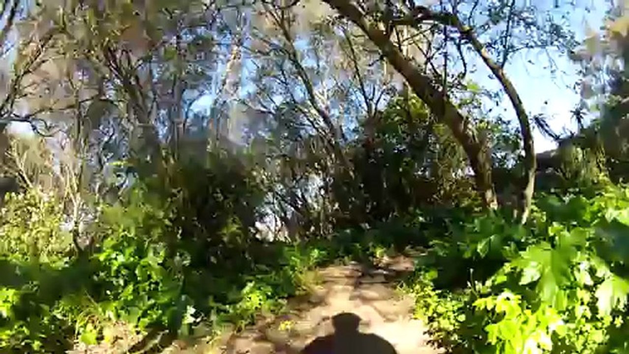 Trilho 8 2013-02-07 Monsanto