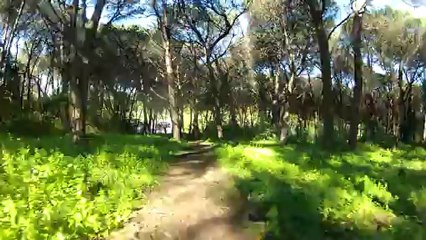 Trilho 10 2013-02-07 Monsanto