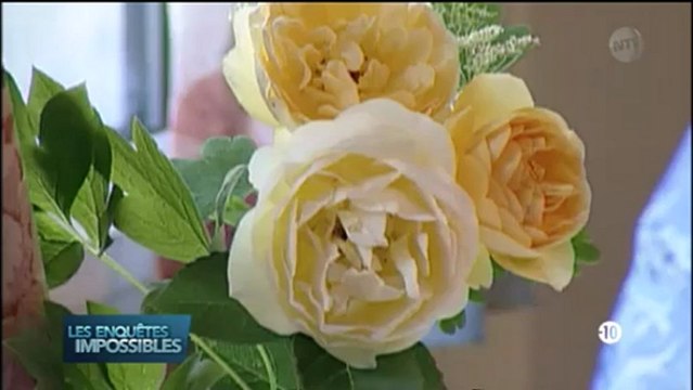 Les enquêtes impossibles - Sans rapport apparent-La piste du chien