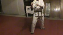 Kempo :  kamae