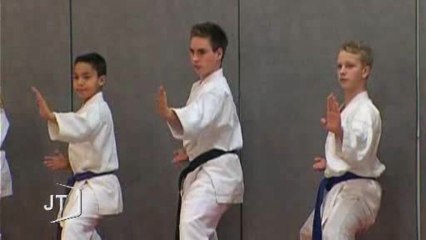 Karaté : Belle performance pour le Lycée Rabelais (Vendée)