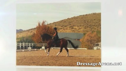 Arena Footing - Horse Arena Footing