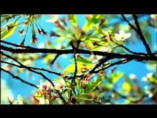 فلسطين هذا الصباح 6-2 الاربعاء  0 (1)