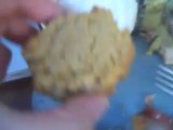 Paleo Recipes- Pumpkin Muffins