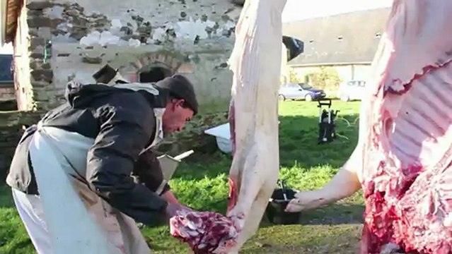 Les cochons 4 : C'est du lard ou du cochon ?