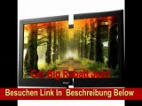 Hisense LHDN32K11CSEU 81 cm (32 Zoll) LED-Backlight-Fernseher, Energieeffizienzklasse B (HD-Ready, PVR-Ready, DVB-T/-C/-S2, CI ) schwarz