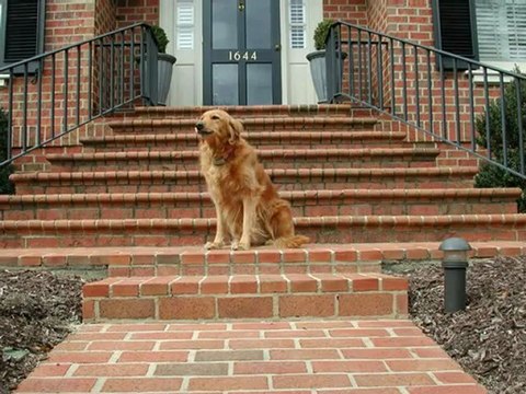 Pressure Washing Charlotte, To Days work 2/26/2013