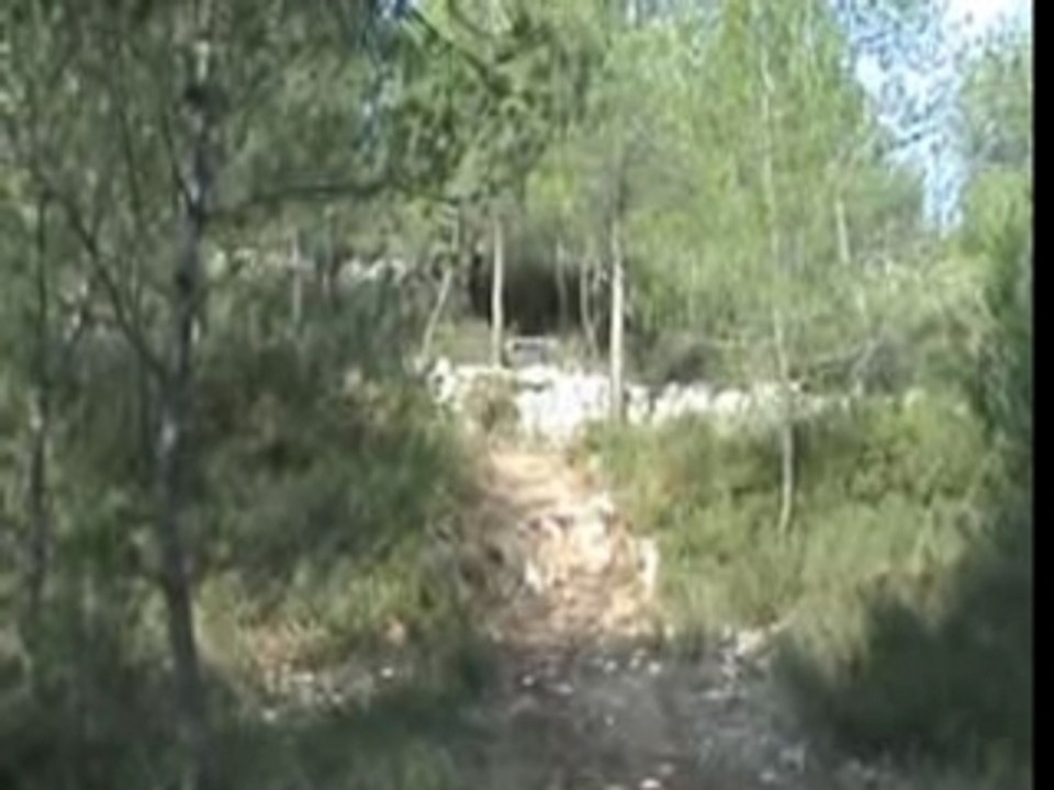 la chute de pedro a figurolles
