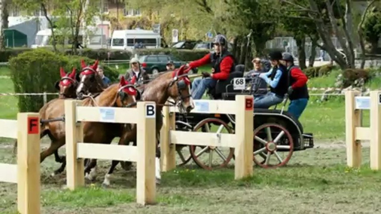Berne - 4e obstacle