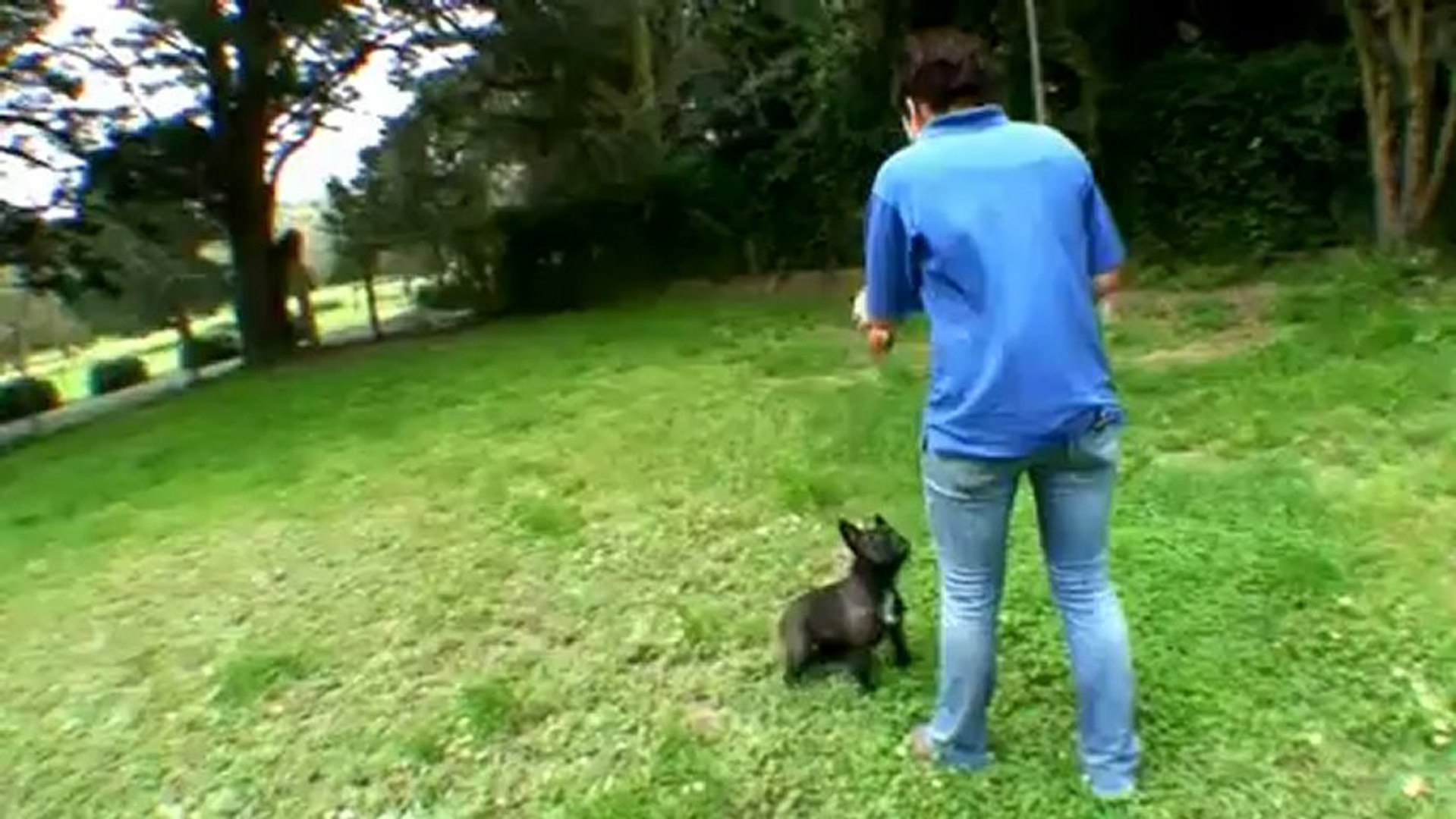 ⁣Dog Boarding Kennel | Dog Kennel Boarding | Dog Kennels And Boarding