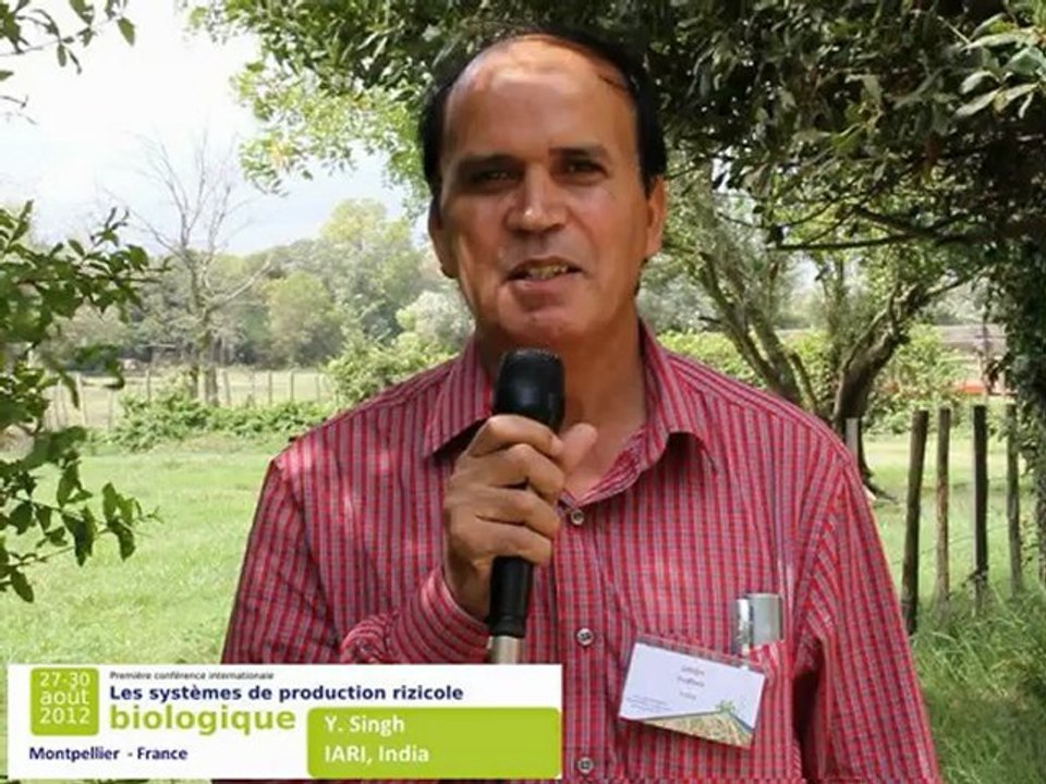 Y. Singh (IARI, New Delhi, India) in Montpellier - First international conference on organic rice production systems