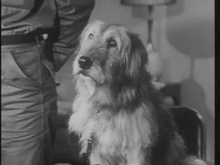 Munroe   Unsold Pilot Part 28