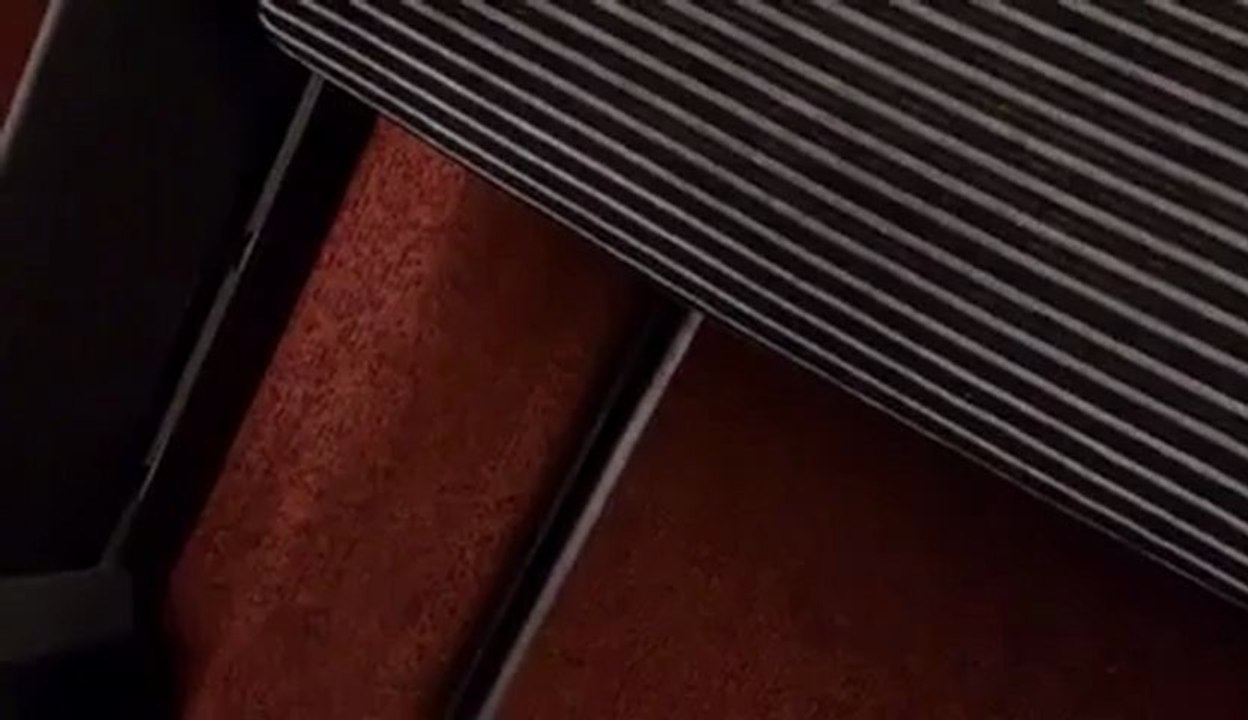 Drole d'annonce dans un TGV reliant lille a lyon