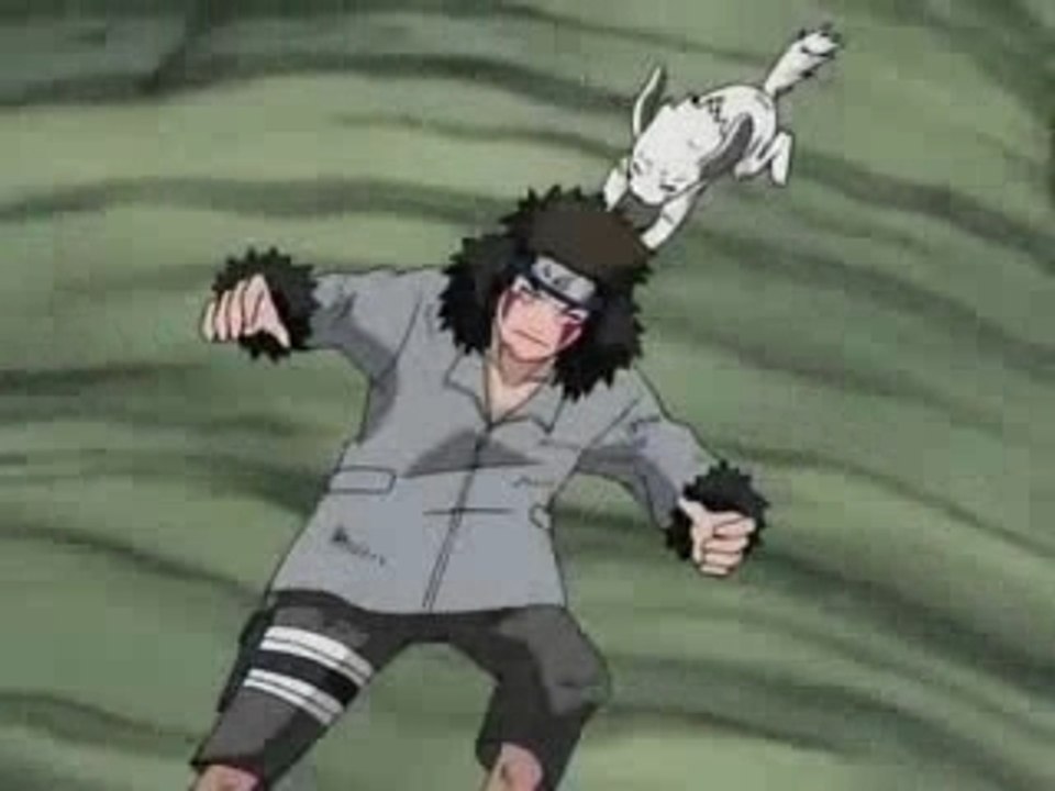 The Life Of Kiba