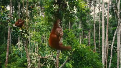 Futuroscope : DESTINS SAUVAGES