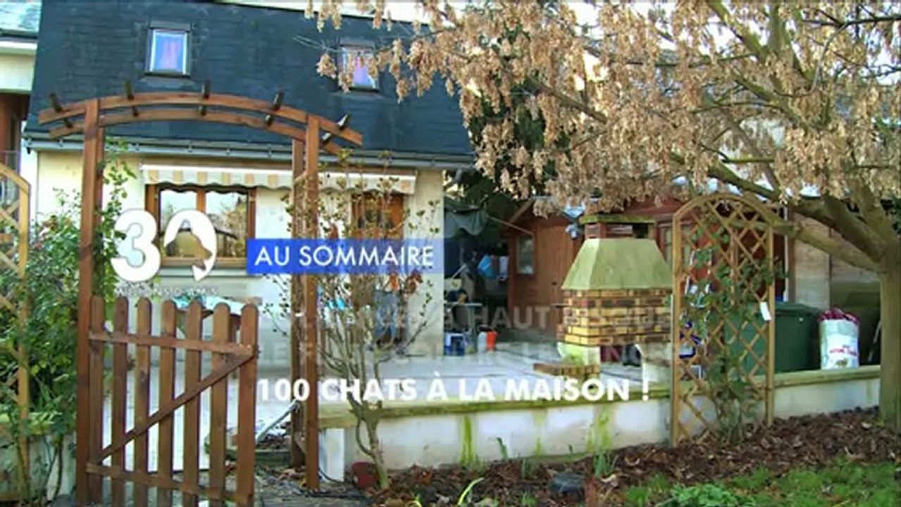 Sommaire émission 30 Millions d'Amis 9/2/2013