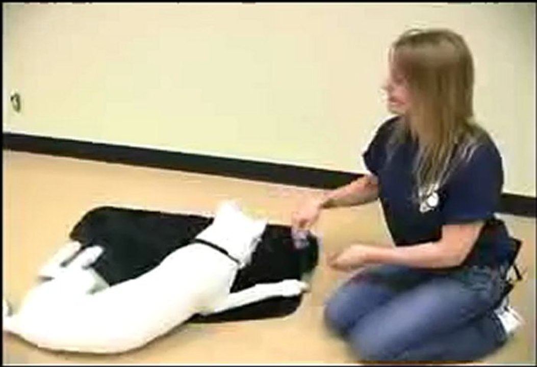 인터넷카지노▒▒■☤☣B­a­c­6­6­6.c­o­m☣☤■▒▒ 온라인카지노