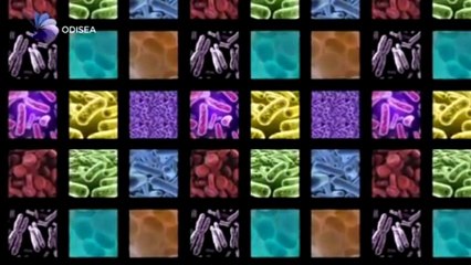 El más pequeño - Materiales de última generación