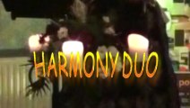 Bucovina-Muzica de petrecere-Harmony Duo(Seara traditionala romaneasca)