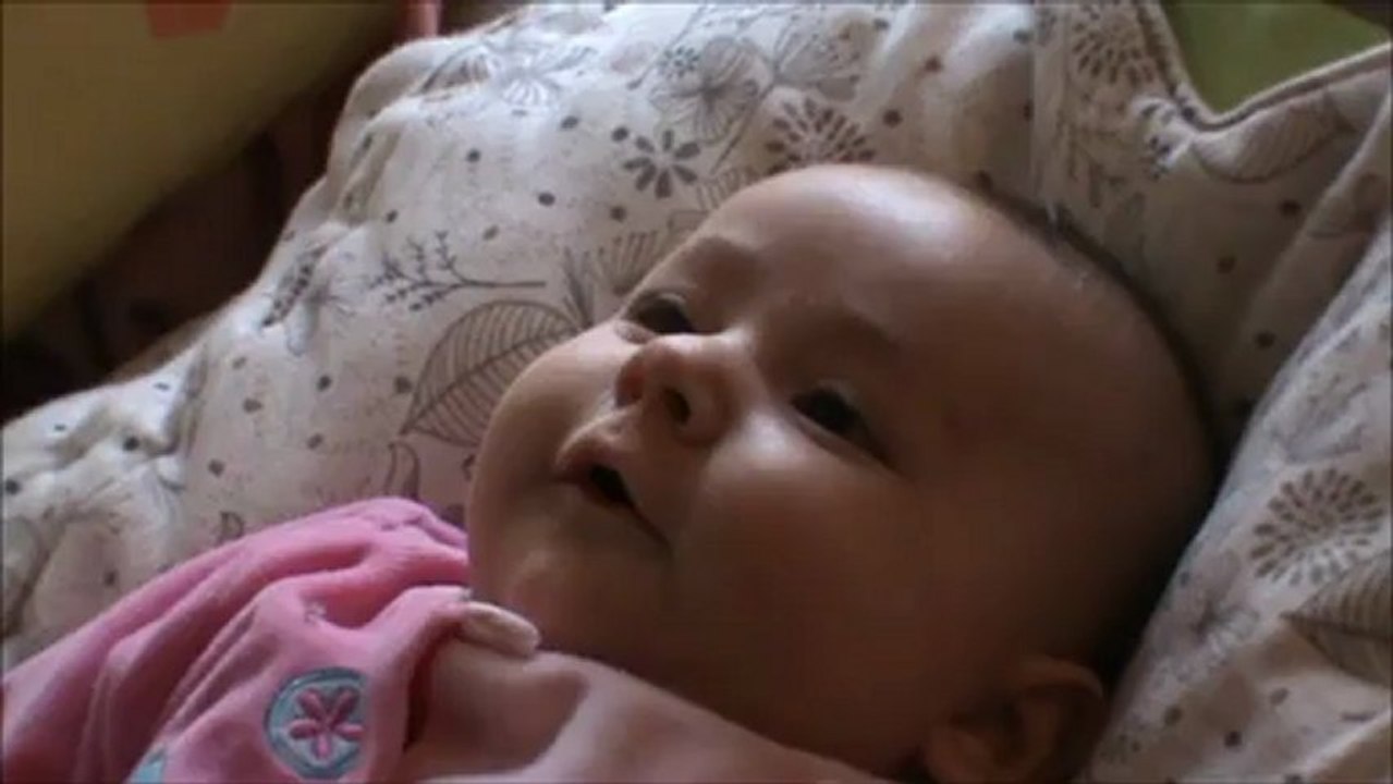 Les premiers arrheus d'Orlane