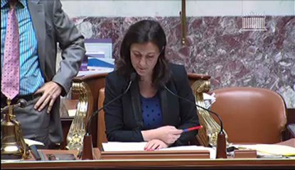 Adoption de l'amendement d'Hervé Mariton - mariage pour tous