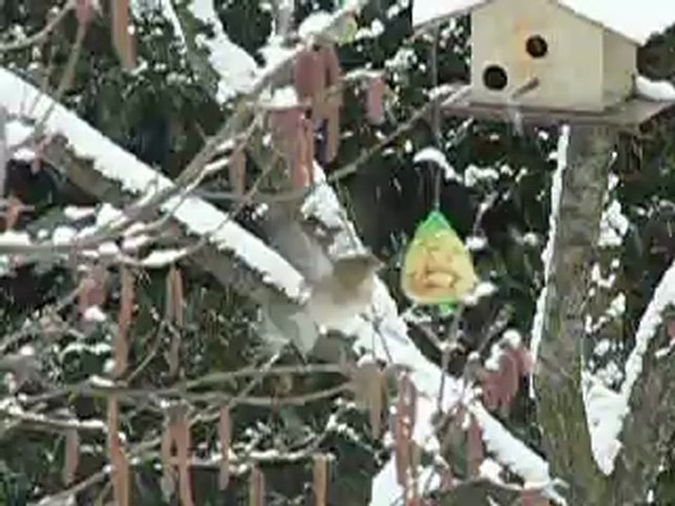 plus têtu que lui , connais pas !!!!