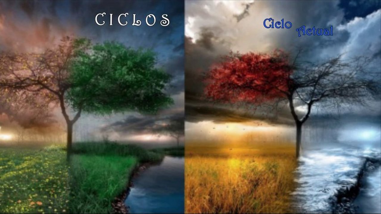 Ciclo actual
