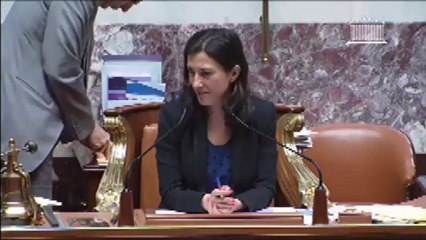 Le premier amendement UMP adopté sur le mariage pour tous