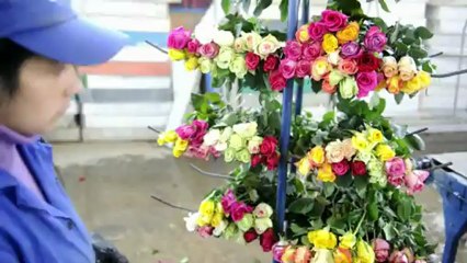 Colombia ships 500 mln flowers to US for Valentine's Day