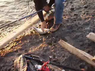 kıyıdan paşa çekmek keyifli