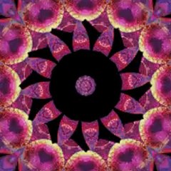 School Assignment: After Effect practice Kaleidoscope