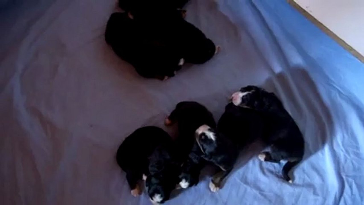 entre la tétée et la sieste