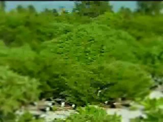 Kur-an-ı Kerim Türkçe Meali 010Yunus Süresi