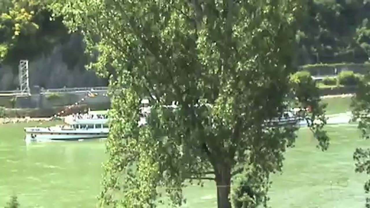 Züge südlich der Loreley, ERS 189, 2x V60 BR363, Class 66, 2x 185, 101, 2x 427, 460