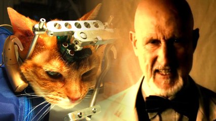 James Cromwell Arrested for 'Cat Torture' Protest with PETA