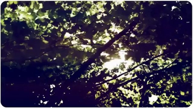 Superclean Services LLC - (218) 822-3802